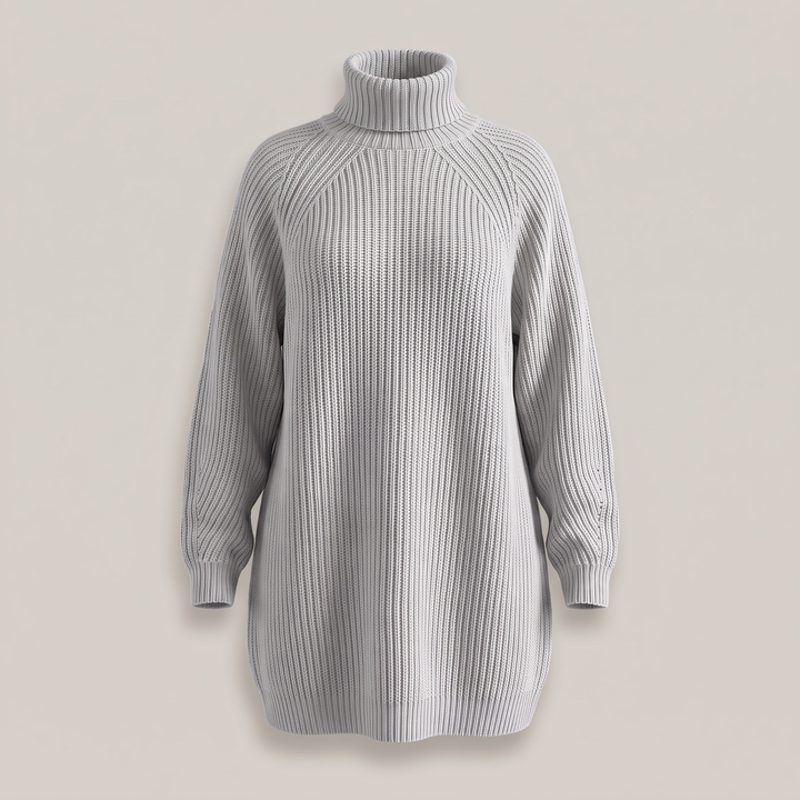 FLORIANA COSY ROLL-NECK DRESS